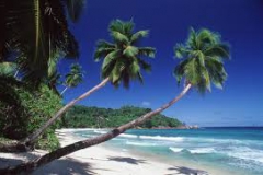images8