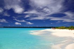 images_3