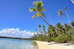 images_4