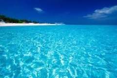 images_9